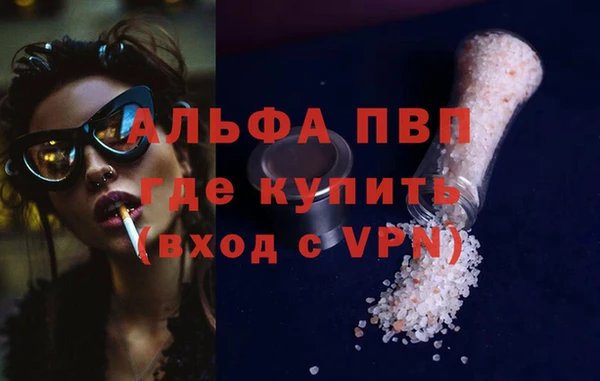мяу мяу мука Вязьма