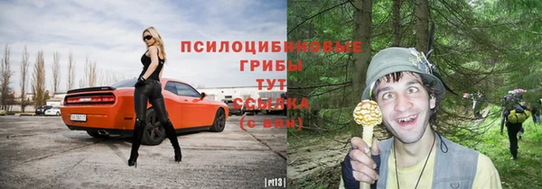 прущая мука Вязники