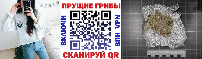 Галлюциногенные грибы Psilocybine cubensis  Емва 